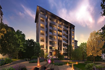 ���ڽ���������ʦʵ��ר��