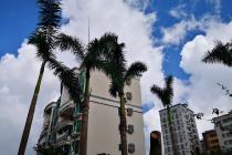 �а��˷������蹤�̼ۿ������ܳ�Ȩ�����𺦽������˺Ϸ������������Ч