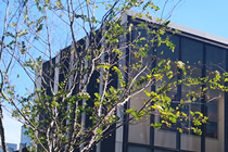 ���ڿ���������ʦʵ��ר��