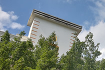 ���ڶ��ַ�������ʦʵ��ר��