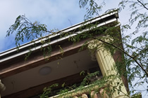 ���ڷ���������ʦʵ��ר��