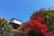 ��������ʩ���˲�����ȴ����а��˵�ծȨ���򷢰��˴�λ��