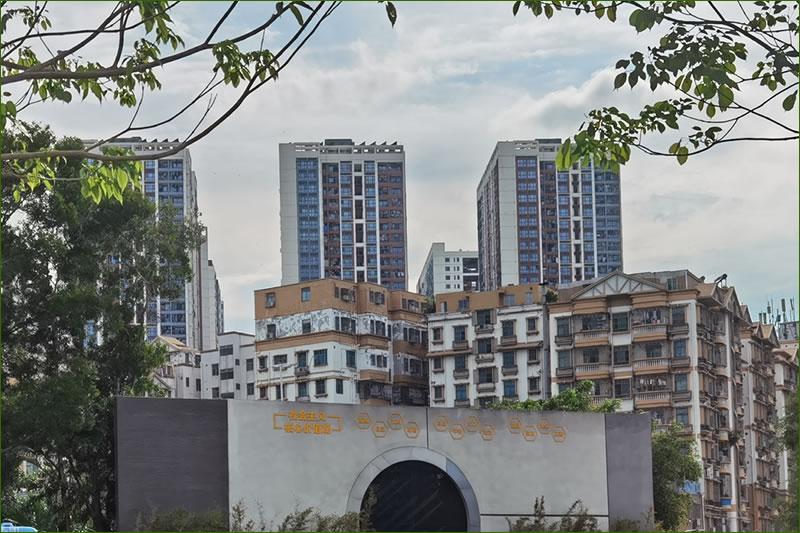 �ԷǼ�����֯��Ա�ķ����⳥��ԭ���ϲ���������ʹ��Ȩ��ֵ