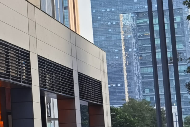 �����˲��ǰ���弯�徭����֯��Ա����δȡ�÷�������Ȩ����Ȩ����⳥