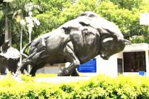 ���ھ�����������Ͷ����Ŀ������������2021��11��1����ʩ�У�