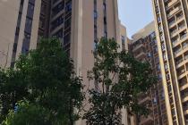 ���㰸�湤��δ���忢�����գ����˳�ʩ������Ȩ���Ź��̿�