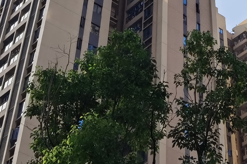 ��С���ڽ����������Ȩ�����飬�����̾�֤���ܹ�ȫ��ҵ������