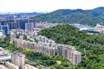 �����ջع�������ʹ��Ȩ��Ӧ���г����������Բ���