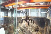 �������շ���BOT��ĿӦ�����б꣬��ȡ��һ��Դ�ɹ������Ϸ��ɹ涨