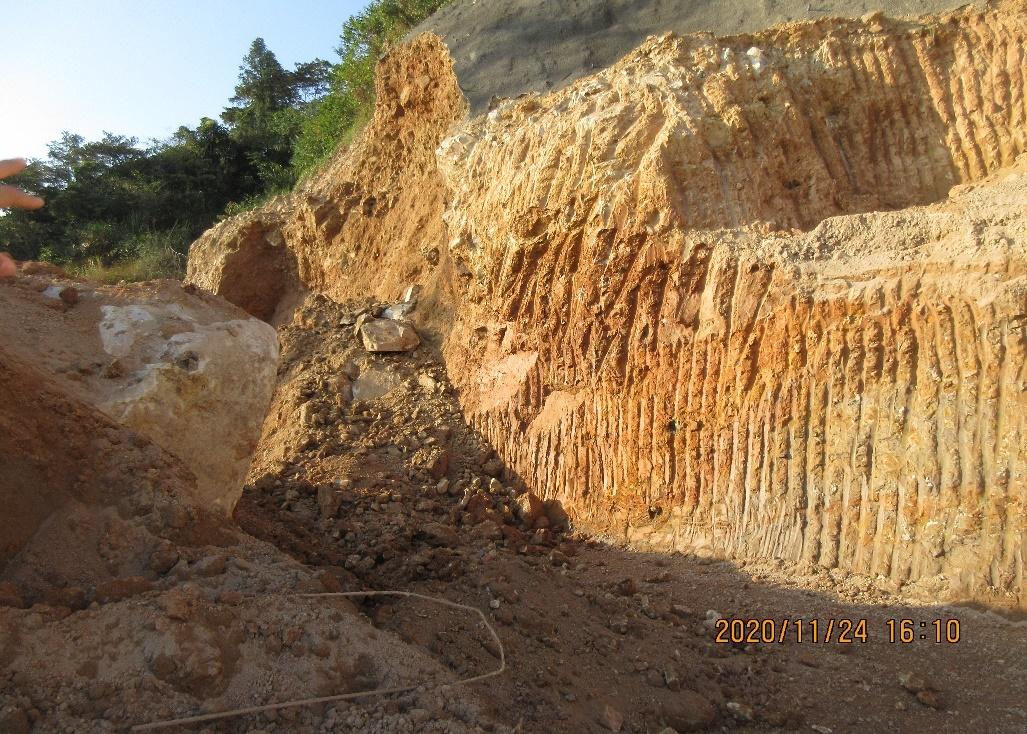  ��������������Ҷ�ӾƵ������Ŀ ��11��23���ϴ�̮���¹ʵ��鱨��