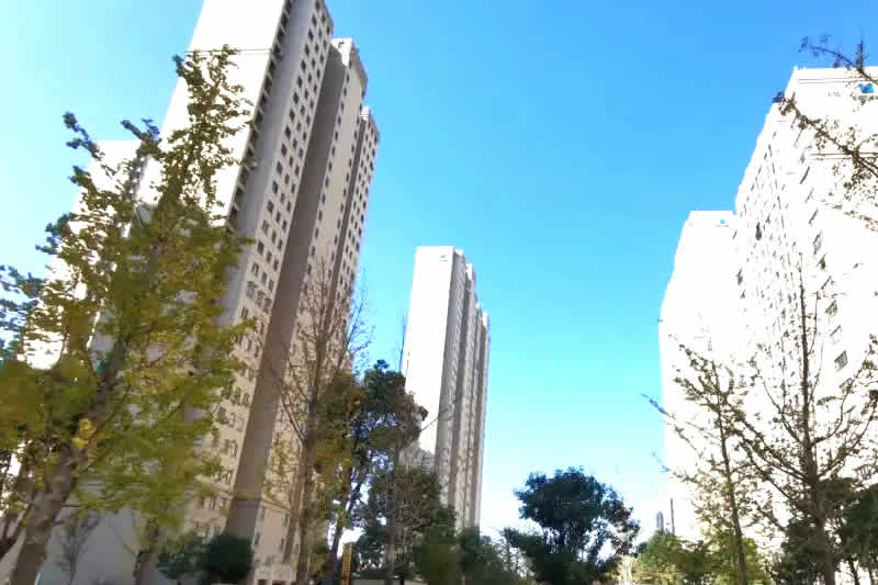 һ���Թ���ʮһ�׷��ݱ��϶�Ϊ���������������裬��������һ���಻���������ų�ǿ��ִ������Ȩ��