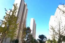 һ���Թ���ʮһ�׷��ݱ��϶�Ϊ���������������裬��������һ���಻���������ų�ǿ��ִ������Ȩ��