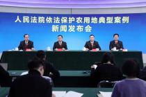 �������Ժ��������Ժ��������ũ�õص��Ͱ������������